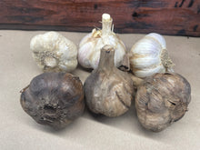 Load image into Gallery viewer, Black Garlic
