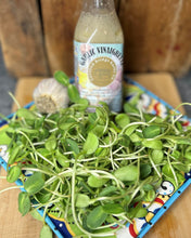 Load image into Gallery viewer, Garlic Vinaigrette