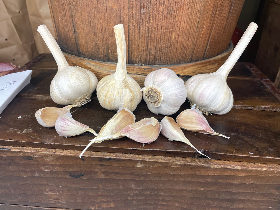 Metechi Metechi – Covered Bridge Garlic Company